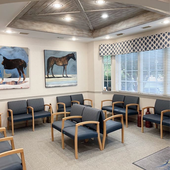 Mitchell, Bartlett & Bell Orthodontics waiting chairs